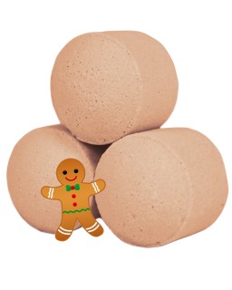 Pain d'épice - Lot de 6