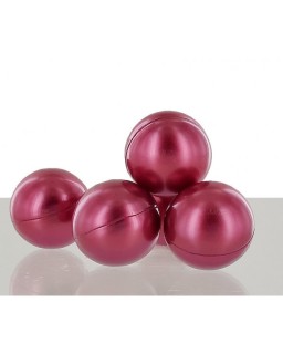 Fraise - Lot de 6